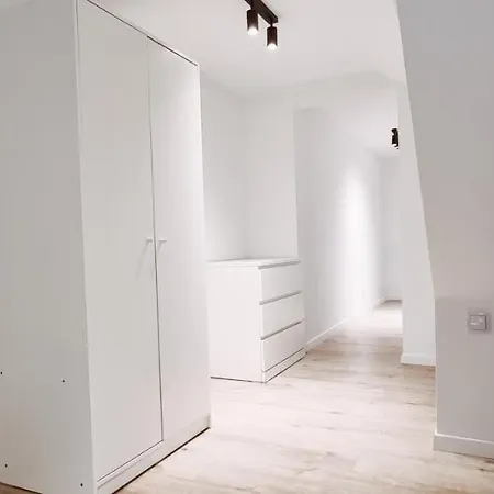 Cozy Spacious Apartment 7 公寓