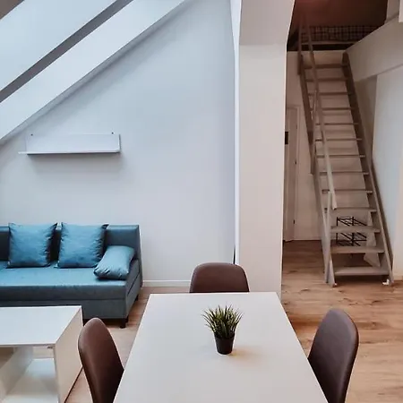 公寓 Cozy Spacious Apartment 7