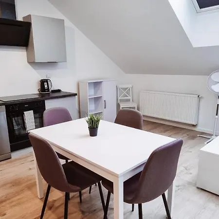 Cozy Spacious Apartment 7 公寓 *
