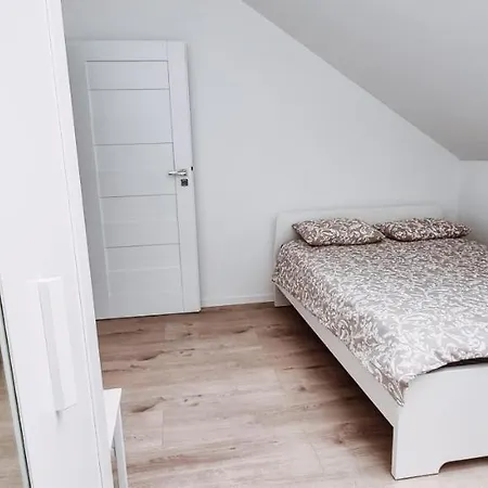 Cozy Spacious Apartment 7 克拉科夫