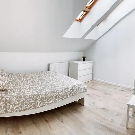 Cozy Spacious Apartment 7 * 克拉科夫
