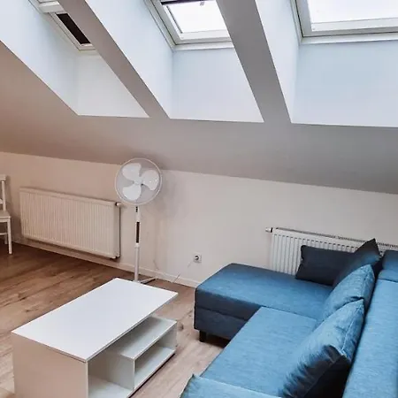 Cozy Spacious Apartment 7 公寓 克拉科夫